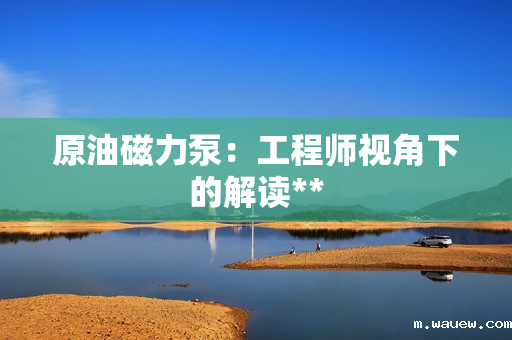 原油磁力泵:工程师视角下的解读** 原油磁力泵:工程师视角下的解读**