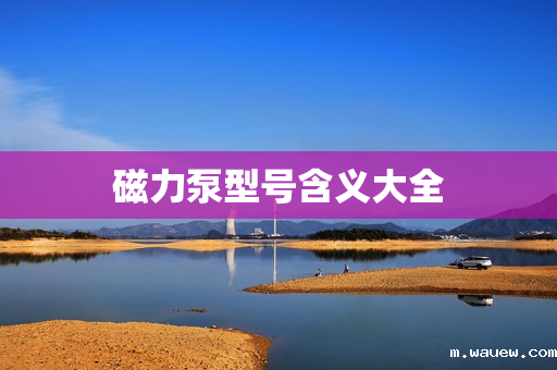 磁力泵型号含义大全 磁力泵型号含义大全