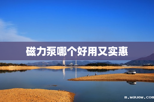 磁力泵哪个好用又实惠 磁力泵哪个好用又实惠