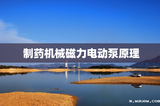 制药机械磁力电动泵原理 制药机械磁力电动泵原理