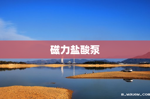 磁力盐酸泵 磁力盐酸泵