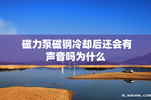 磁力泵磁钢冷却后还会有声音吗为什么 磁力泵磁钢冷却后还会有声音吗为什么