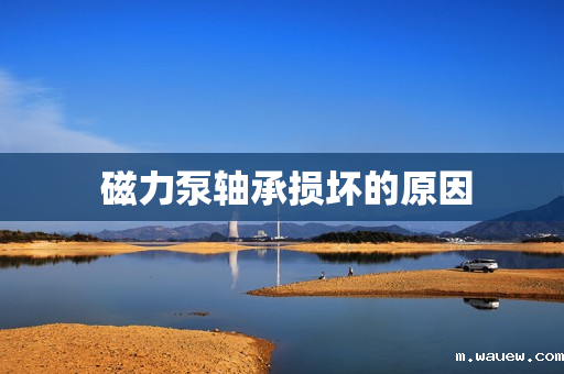 磁力泵轴承损坏的原因 磁力泵轴承损坏的原因