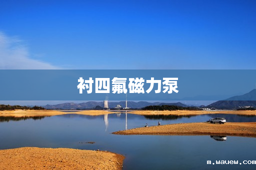 衬四氟磁力泵 衬四氟磁力泵