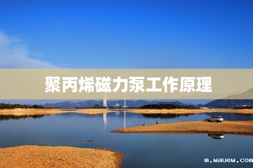 聚丙烯磁力泵工作原理 聚丙烯磁力泵工作原理