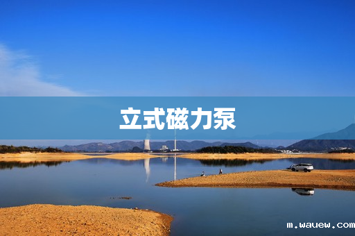 立式磁力泵 立式磁力泵