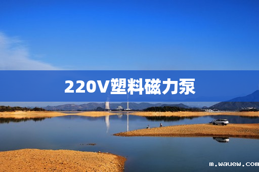 220V塑料磁力泵 220V塑料磁力泵