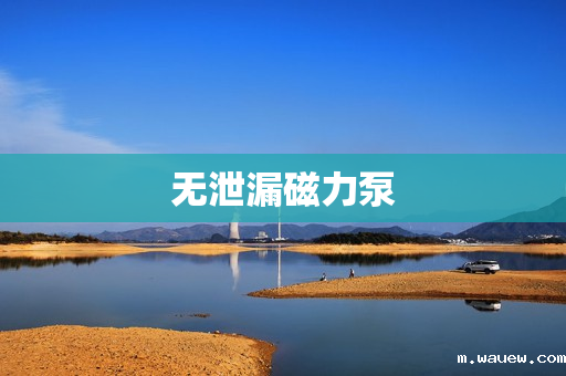 无泄漏磁力泵 无泄漏磁力泵