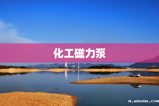 化工磁力泵 化工磁力泵