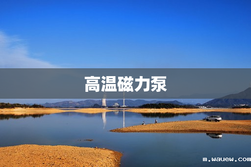 高温磁力泵 高温磁力泵