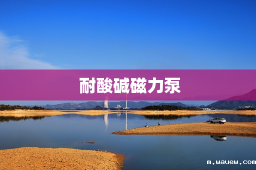 耐酸碱磁力泵 耐酸碱磁力泵