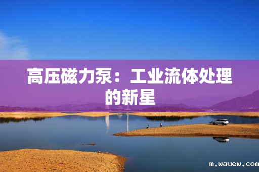 高压磁力泵:工业流体处理的新星 高压磁力泵:工业流体处理的新星