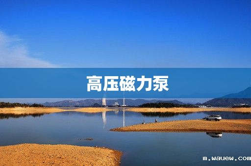 高压磁力泵 高压磁力泵