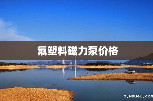 氟塑料磁力泵价格 氟塑料磁力泵价格