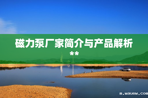 磁力泵厂家简介与产品解析** 磁力泵厂家简介与产品解析**