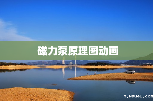 磁力泵原理图动画 磁力泵原理图动画