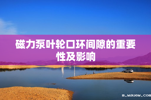 磁力泵叶轮口环间隙的重要性及影响 磁力泵叶轮口环间隙的重要性及影响
