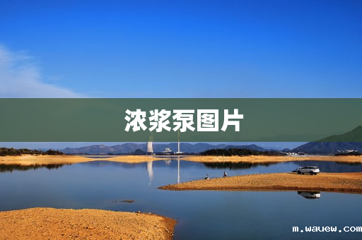 浓浆泵图片 浓浆泵图片