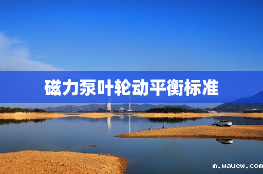 磁力泵叶轮动平衡标准 磁力泵叶轮动平衡标准