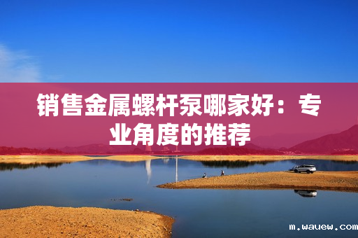 销售金属螺杆泵哪家好:专业角度的推荐 销售金属螺杆泵哪家好:专业角度的推荐