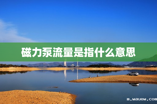 磁力泵流量是指什么意思 磁力泵流量是指什么意思