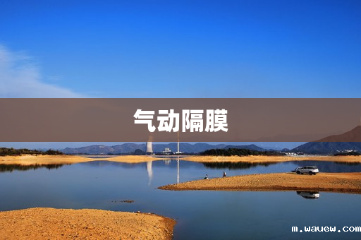 气动隔膜 气动隔膜