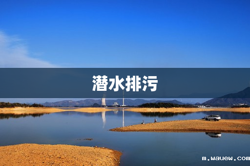 潜水排污 潜水排污