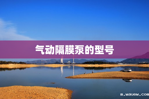 气动隔膜泵的型号 气动隔膜泵的型号