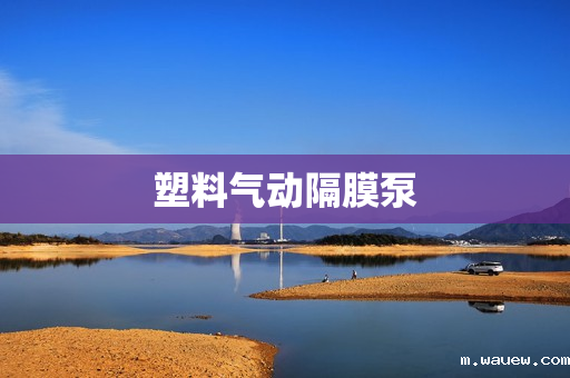 塑料气动隔膜泵 塑料气动隔膜泵