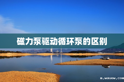 磁力泵驱动循环泵的区别 磁力泵驱动循环泵的区别