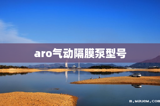 aro气动隔膜泵型号 aro气动隔膜泵型号