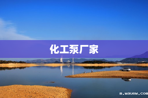 化工泵厂家 化工泵厂家