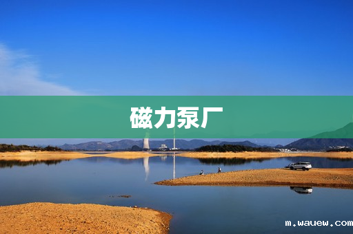 磁力泵厂 磁力泵厂