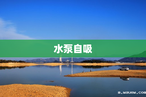 水泵自吸 水泵自吸