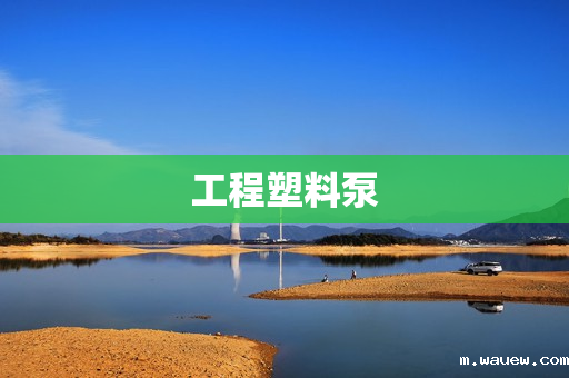 工程塑料泵 工程塑料泵