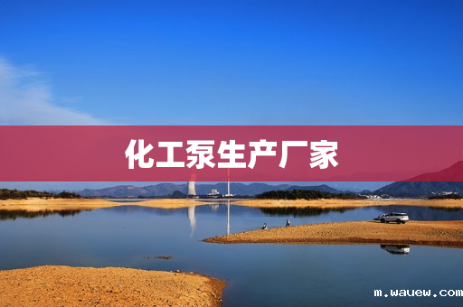 化工泵生产厂家 化工泵生产厂家