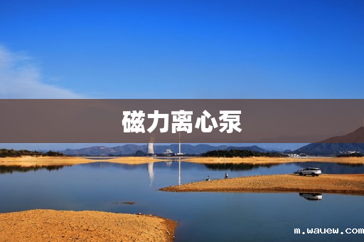 磁力离心泵 磁力离心泵