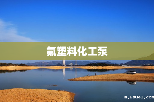 氟塑料化工泵 氟塑料化工泵