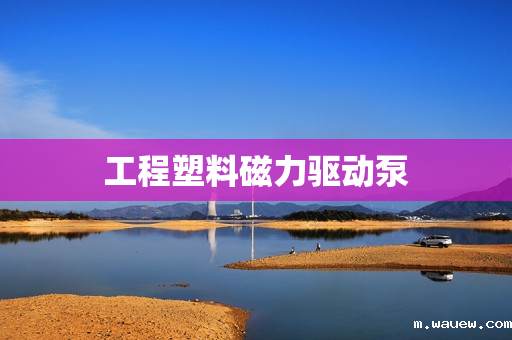 工程塑料磁力驱动泵 工程塑料磁力驱动泵