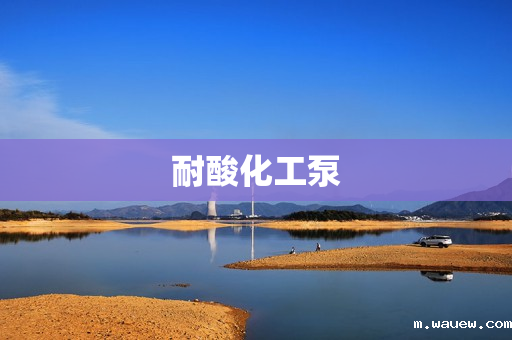 耐酸化工泵 耐酸化工泵