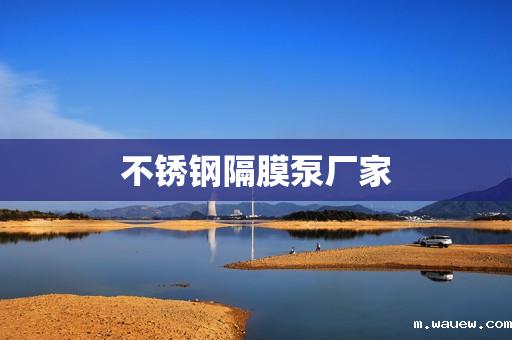 不锈钢隔膜泵厂家 不锈钢隔膜泵厂家