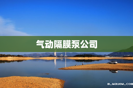 气动隔膜泵公司 气动隔膜泵公司