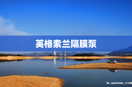 英格索兰隔膜泵 英格索兰隔膜泵