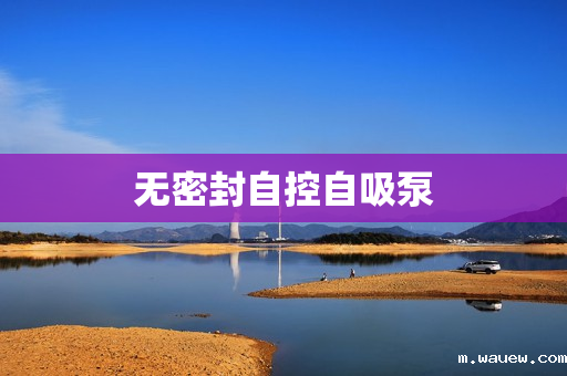 无密封自控自吸泵 无密封自控自吸泵