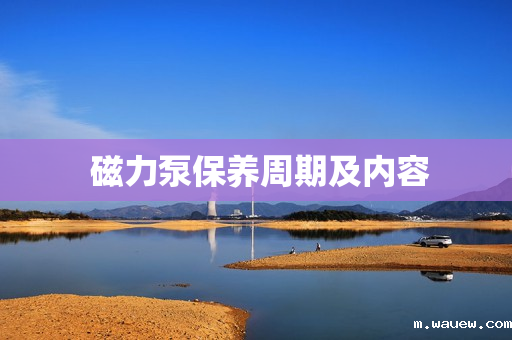 磁力泵保养周期及内容 磁力泵保养周期及内容