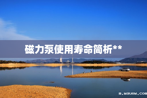 磁力泵使用寿命简析** 磁力泵使用寿命简析**