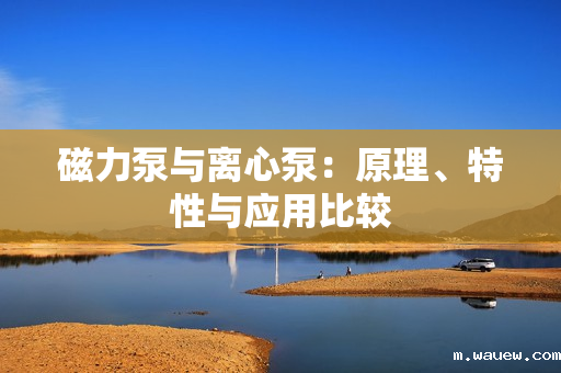 磁力泵与离心泵:原理、特性与应用比较 磁力泵与离心泵:原理、特性与应用比较