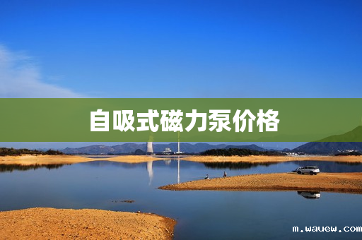 自吸式磁力泵价格 自吸式磁力泵价格