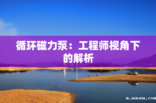 循环磁力泵:工程师视角下的解析 循环磁力泵:工程师视角下的解析