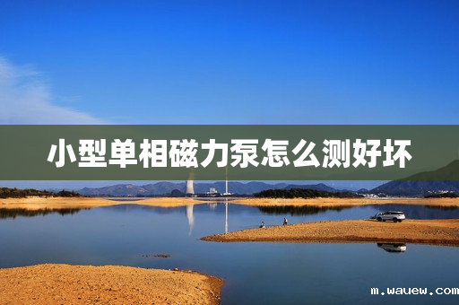小型单相磁力泵怎么测好坏 小型单相磁力泵怎么测好坏